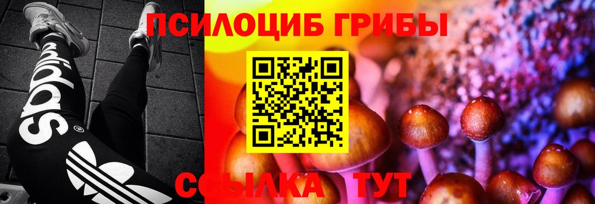 Псилоцибиновые грибы GOLDEN TEACHER Кунгур